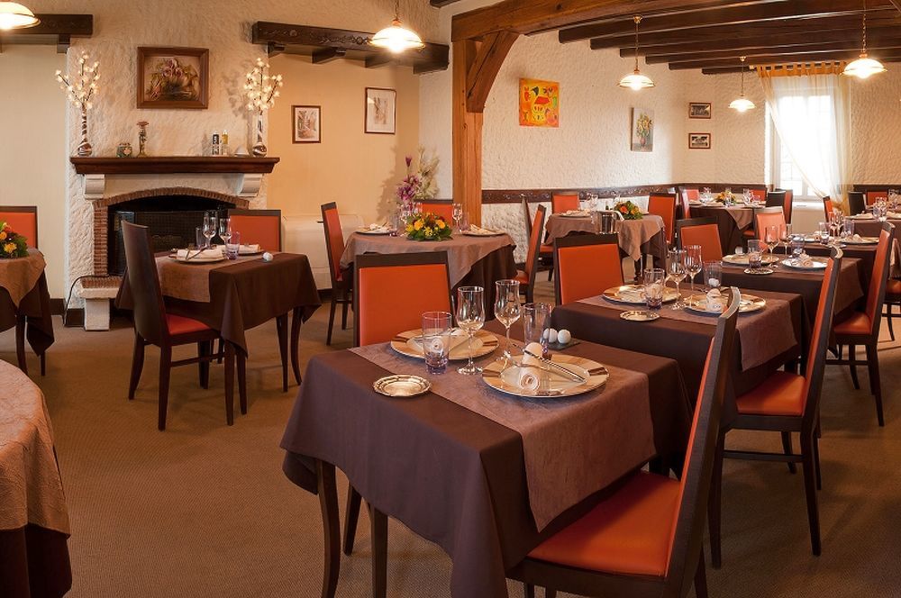 Logis Hotels Restaurant Le Dauphin Salbris Exterior photo